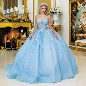 New Long Sleeveless Tulle Quinceanara Gown w/ Back Bow & Lace Up Back DQ 1958